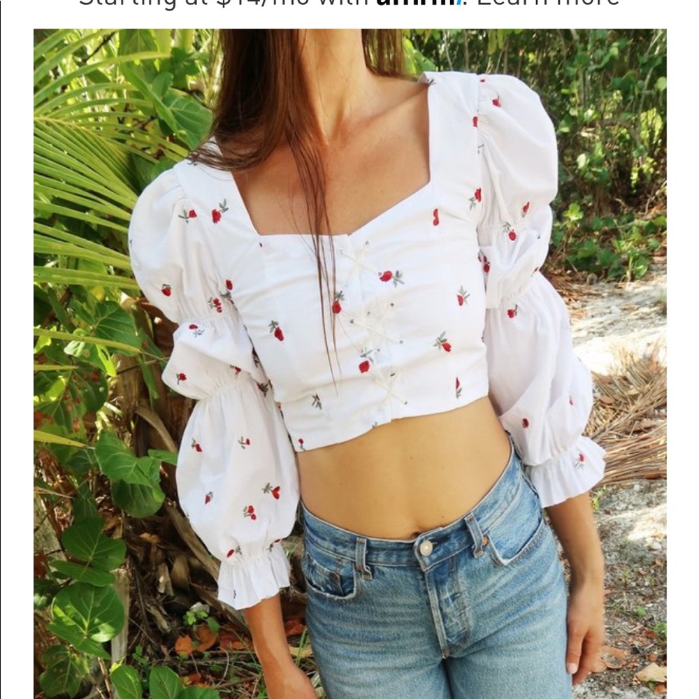 Rachel antonoff bustier crop